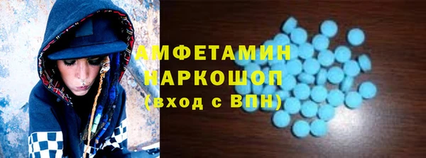 спиды Ельня