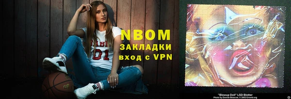 спиды Ельня