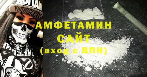 спиды Ельня