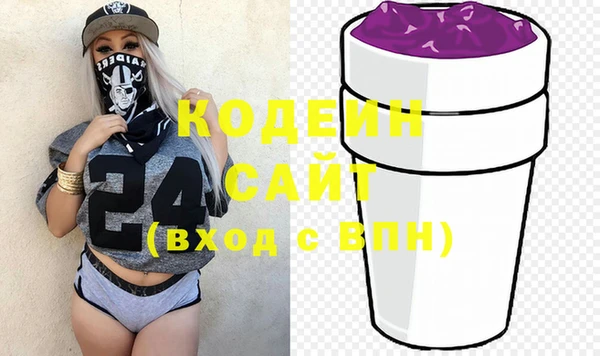 спиды Ельня