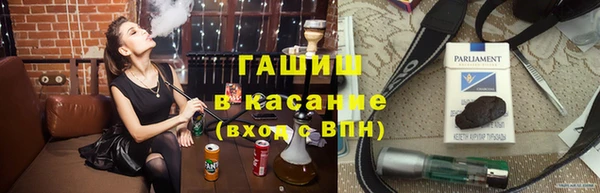 спиды Ельня