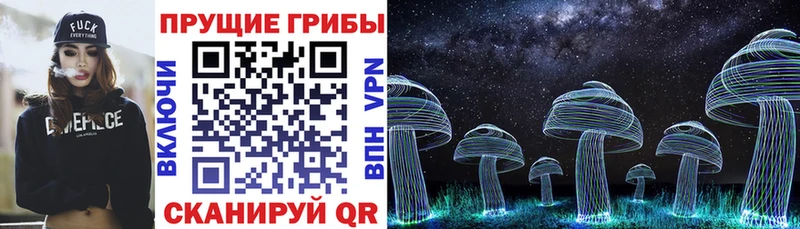 Галлюциногенные грибы Cubensis  Купить  Гусев 